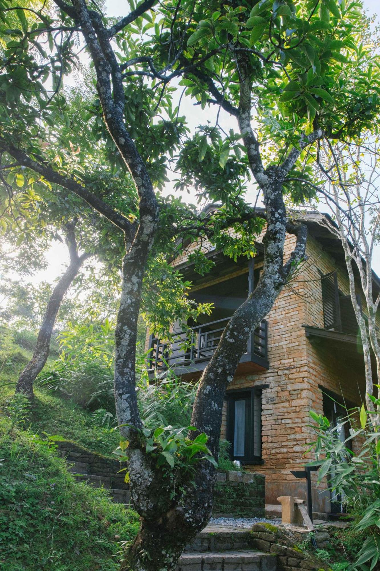 Tiger Mountain Pokhara Lodge Zewnętrze zdjęcie